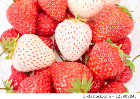 Red and white strawberries 125909845