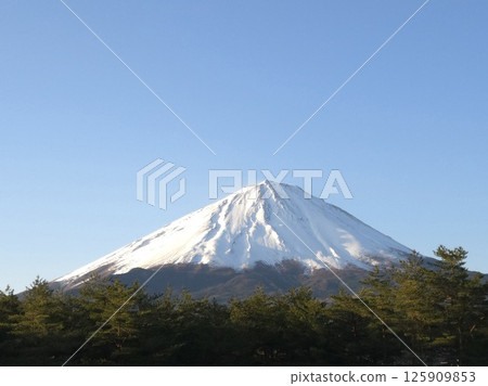 富士山的雪景 125909853