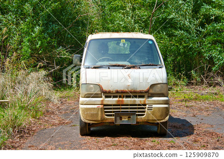 被遺棄的白色皮卡車 125909870