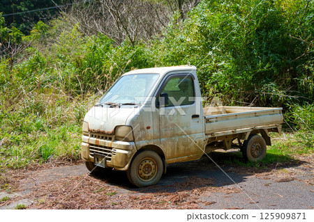 被遺棄的白色皮卡車 125909871