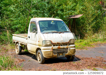 Abandoned white pickup truck 125909872