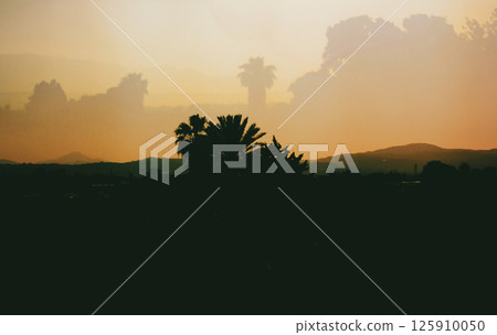 Tropical landscape Mountains, hills on horizon in sunset. Double exposure. Spanish landscapes, wild nature. Palm trees silhouettes. Film filter photo. 125910050
