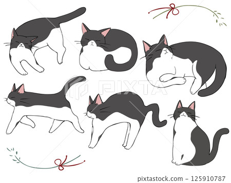 Hachiware cat collection Hachiware cat collection 125910787