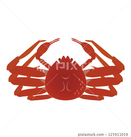 Snow crab illustration 125911019
