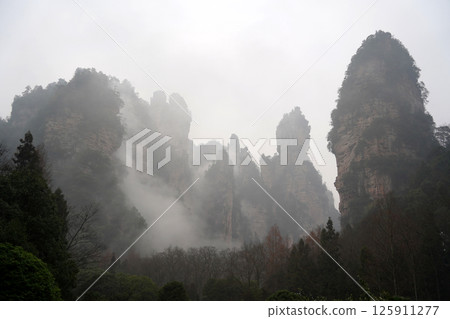 Misty Sandstone Pillars in Zhangjiajie National Forest Park, China Misty Sandstone Pillars in Zhangjiajie National Forest Park, China 125911277