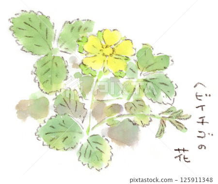 一幅水彩畫，描繪了一種春季植物，一種開著可愛黃色花朵的蛇莓 125911348