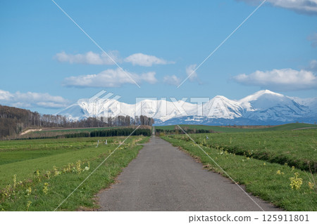 春天通往雪山的草路 125911801