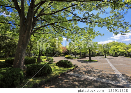 Fresh green park and Yamagata Museum of Art Fresh green park and Yamagata Museum of Art 125911828