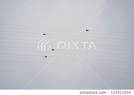 Adventurers Ziplining Overhead Against a Cloudy Sky, Viewed from Below 125912816