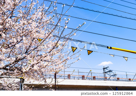 Railway viaduct construction and cherry blossoms blooming Around Higashimurayama Station, Tokyo 2025.04 b-2 High saturation contrast Railway viaduct construction and cherry blossoms blooming Around Higashimurayama Station, Tokyo 2025.04 b-2 High saturation contrast 125912864