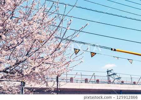 Railway viaduct construction and cherry blossoms around Higashimurayama Station, Tokyo 2025.04 b-4 Light color Railway viaduct construction and cherry blossoms around Higashimurayama Station, Tokyo 2025.04 b-4 Light color 125912866