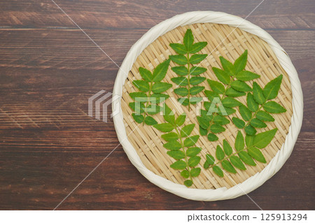 Japanese pepper leaves and buds 125913294