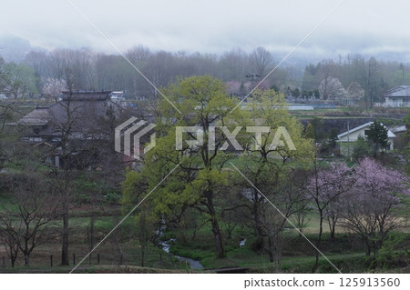 清晨的白馬村春色 125913560