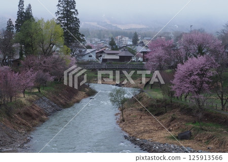 大出公園的春日風景 125913566