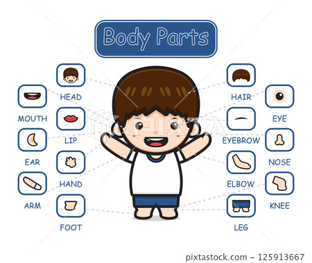Happy cute kid boy body part anatomy cartoon icon clipart illustration 125913667