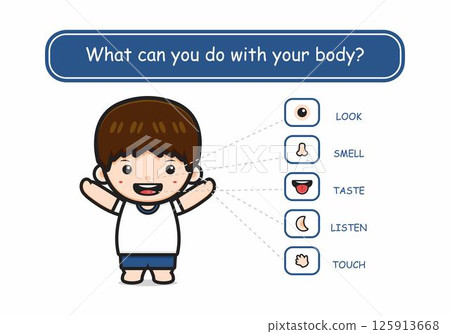 Five senses template with cute boy human organs cartoon icon illustration 125913668