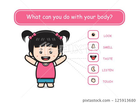 Five senses template with cute girl human organs cartoon icon illustration Five senses template with cute girl human organs cartoon icon illustration 125913680