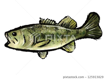 白色背景上的水墨水彩巴士插圖 125913829