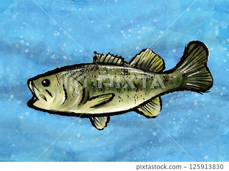 淺藍色背景上的水墨水彩巴士插圖 125913830