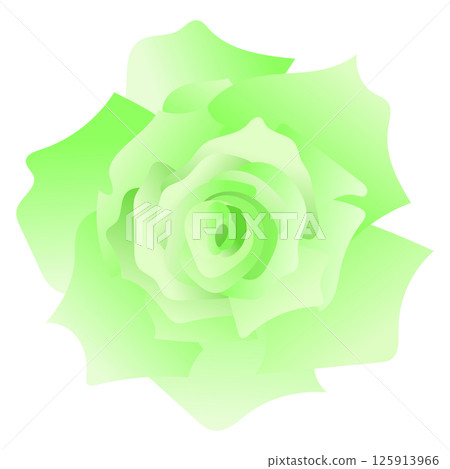 Green rose illustration (close-up) 125913966