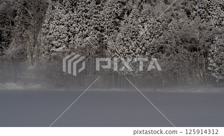 Lake Nakatsuna covered in mist in winter - Trees covered in frost 125914312