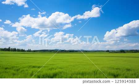 green field and blue sky. field and clouds green field and blue sky. field and clouds 125914388