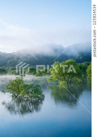 Submerged forest of Shirakawa lake 125914534