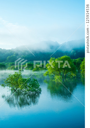 Submerged forest of Shirakawa lake Submerged forest of Shirakawa lake 125914536