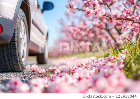 Car on the Road Surrounded by Blooming Flowers in the Summer Sunshine Car on the Road Surrounded by Blooming Flowers in the Summer Sunshine 125915044