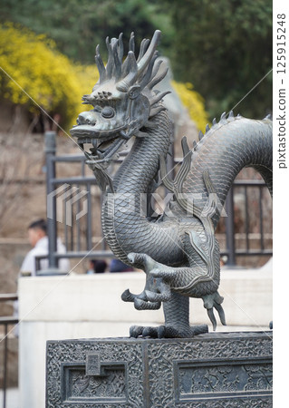 Bronze Dragon Sculpture in the Summer Palace, Beijing, China 125915248