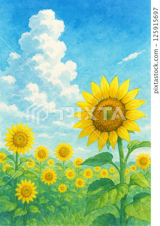 Sunflower that extends to the sky Sunflower that extends to the sky 125915697