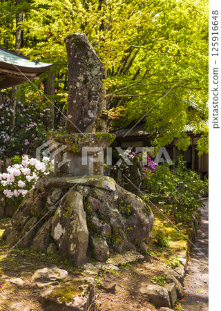 The grounds of Choanji Temple are enveloped in fresh greenery The grounds of Choanji Temple are enveloped in fresh greenery 125916648