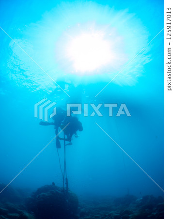 A view of a buoy for scuba diving from below. Hirizohama Nakagi Minamiizu Town Izu Peninsula Shizuoka Prefecture 2024 125917013