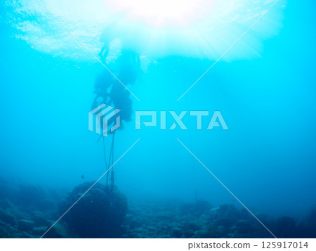 A view of a buoy for scuba diving from below. Hirizohama Nakagi Minamiizu Town Izu Peninsula Shizuoka Prefecture 2024 125917014