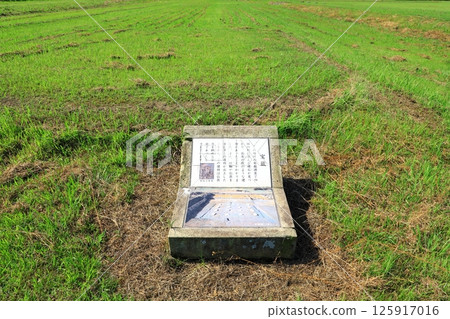 Special Historic Site Yamada-dera Ruins Special Historic Site Yamada-dera Ruins 125917016