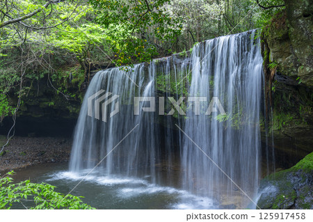 新鮮的綠色Nabe瀑布水幕 新鮮的綠色Nabe瀑布水幕 125917458