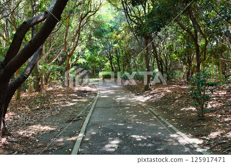 八方公園長廊（千葉縣習志野市） 125917471
