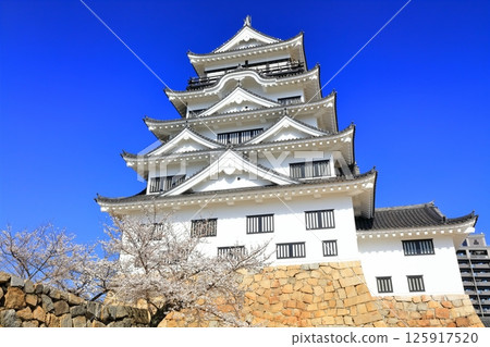 [Hiroshima Prefecture] Fukuyama Castle in spring with cherry blossoms (after reconstruction) Fukuyama Castle Cherry Blossom Festival 125917520