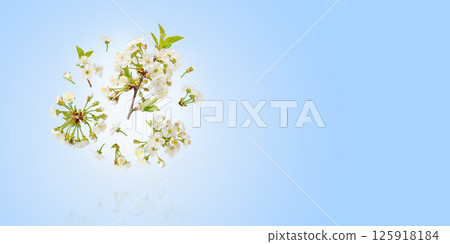 Beautiful cherry blossoms with white flowers flying in the air on a blue background. Concept of spring, Easter, spring blooming flowers. Beautiful cherry blossoms with white flowers flying in the air on a blue background. Concept of spring, Easter, spring blooming flowers. 125918184