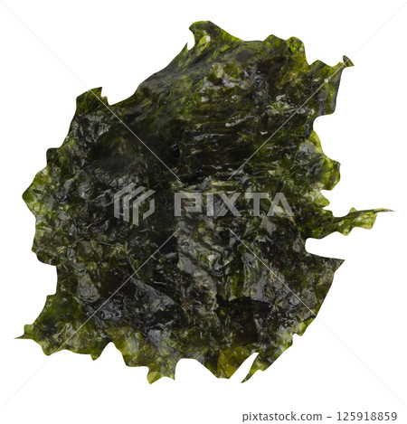 seaweed isolated on white background seaweed isolated on white background 125918859