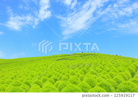 藜蘆丘與雲朵 125919117