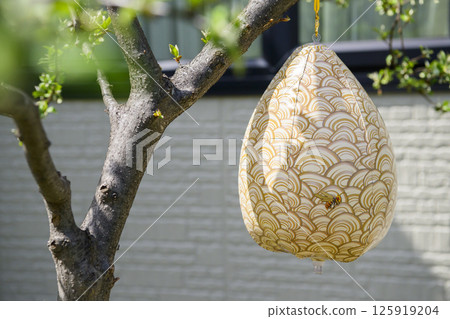 假蜂巢 假蜂巢 125919204