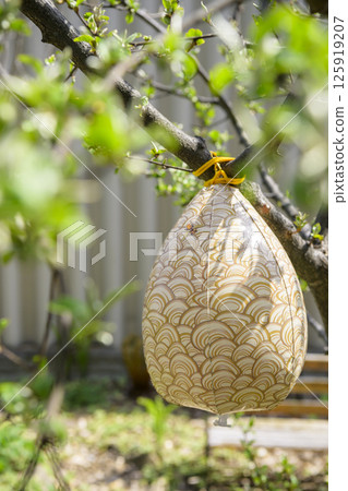 Dummy beehive 125919207