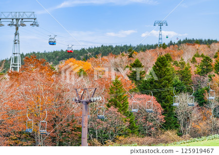 Yamagata: Zao dyed in autumn leaves 125919467