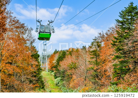 Yamagata: Zao dyed in autumn leaves Yamagata: Zao dyed in autumn leaves 125919472