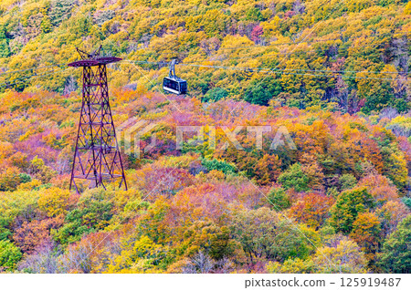 Yamagata: Zao dyed in autumn leaves 125919487