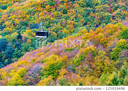 山形：紅葉覆蓋的藏王 125919496