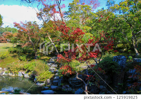 Isuien花園 125919825