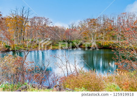 山形：藏王中央高原獨湖沼澤的紅葉 125919918