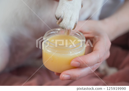 The owner puts wax on the dog's paws.  125919990